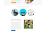 fix wordpress bugs in 24 hours, themes, errors, crashes